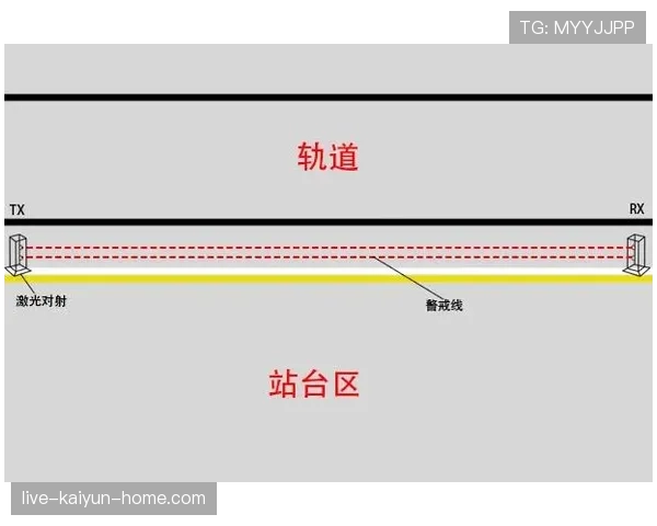 界外判定规则：球必须完全越出边线才算出界
