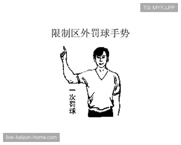 裁判手势速辨：常见动作与对应判罚场景